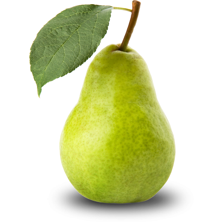 pear.png (744×744)
